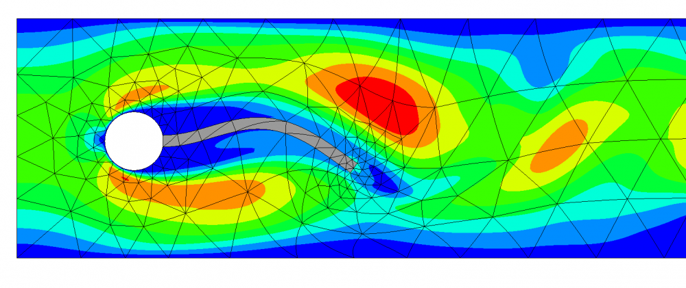 Fluid Structure Interaction